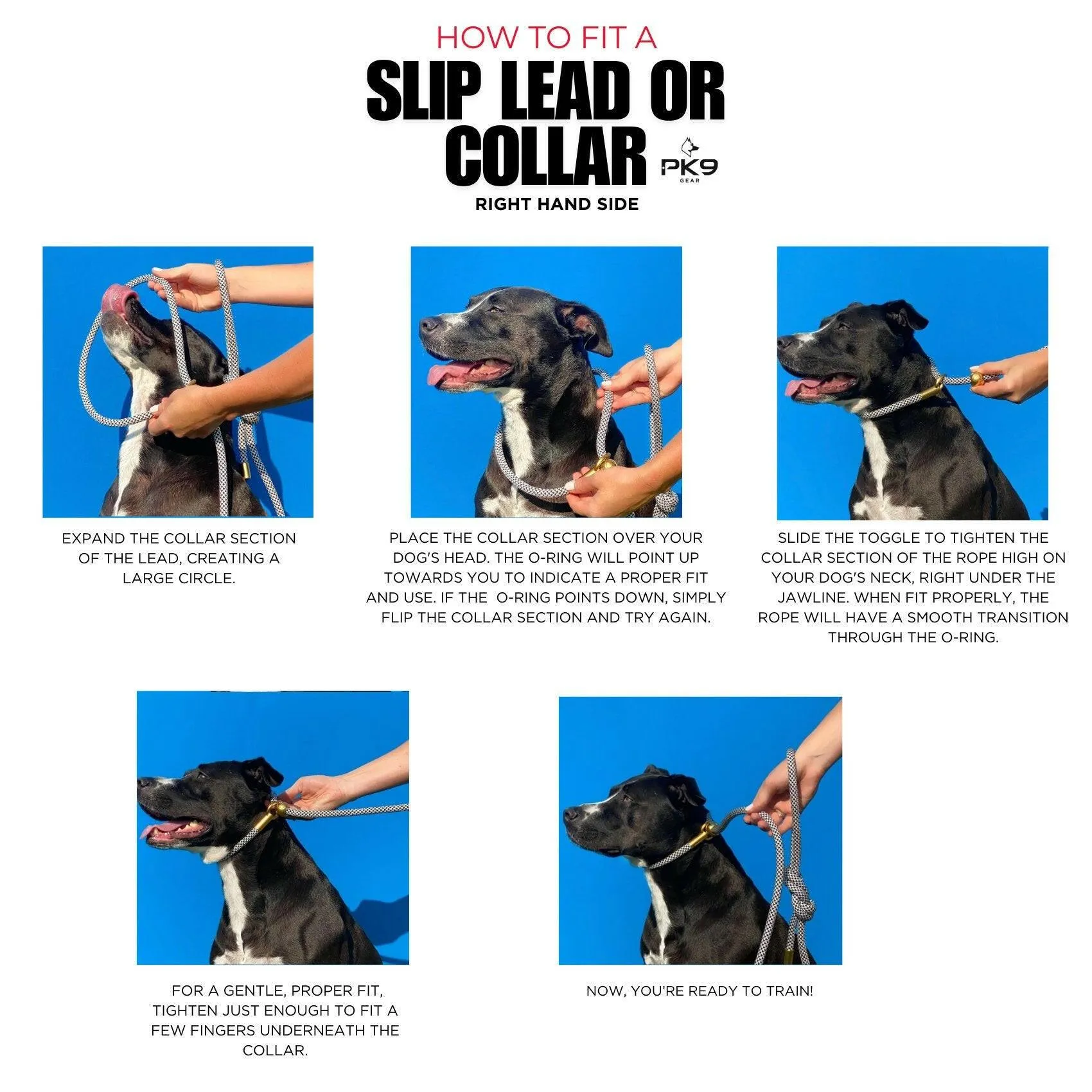 Tab Slip Collar- Ultimate Control