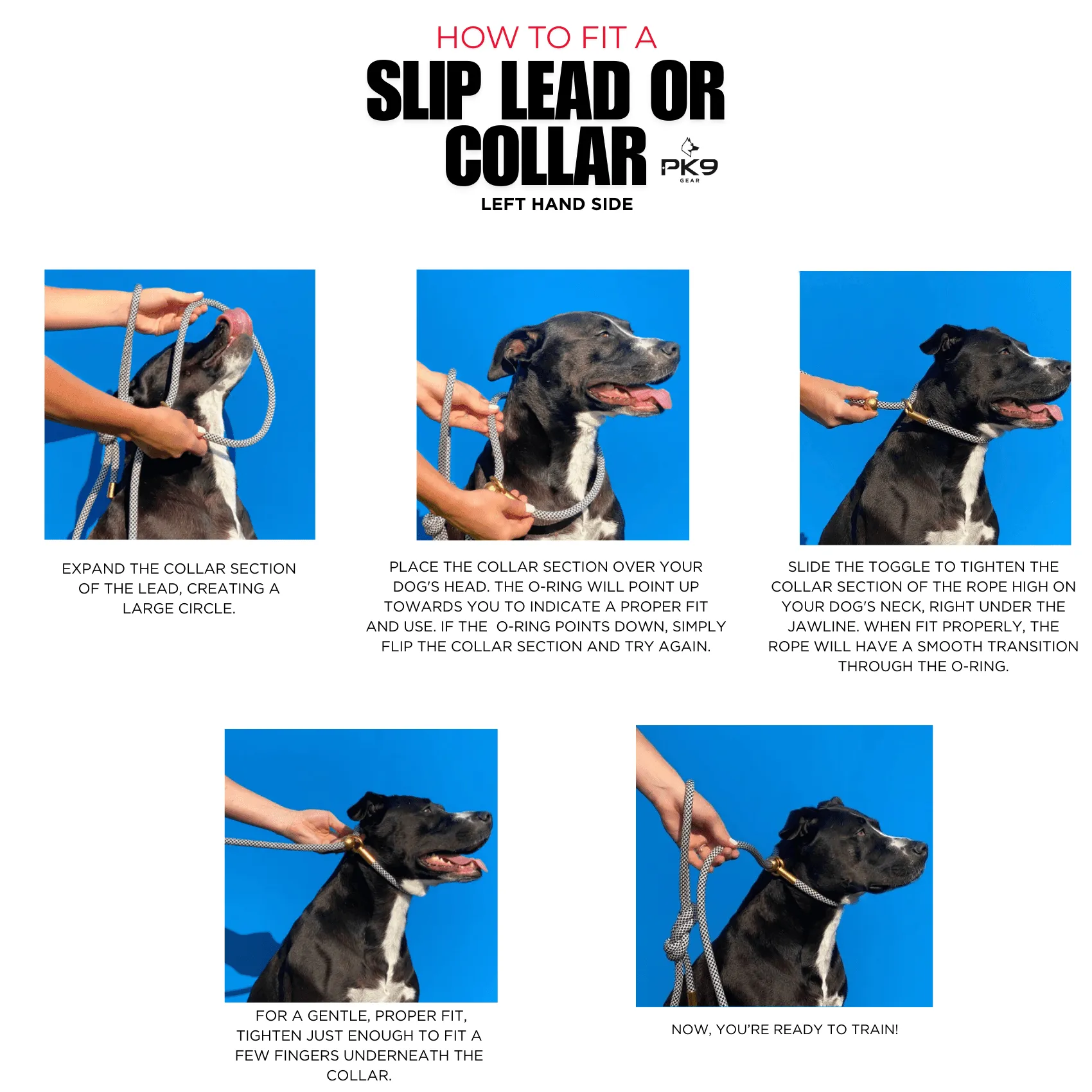Tab Slip Collar- Ultimate Control