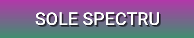 Step Into Style with Contemporary Footwear | Sole Spectrum
